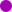 puce f03
