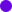 puce m04