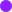 puce m05